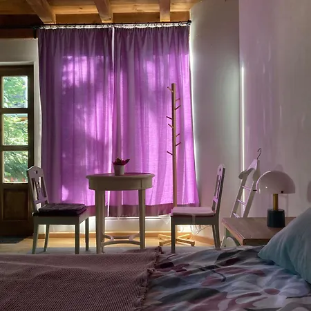 Apartamento Katies Tiny House